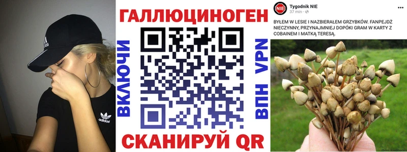 Купить закладки  Ливны  Галлюциногенные грибы Magic Shrooms 
